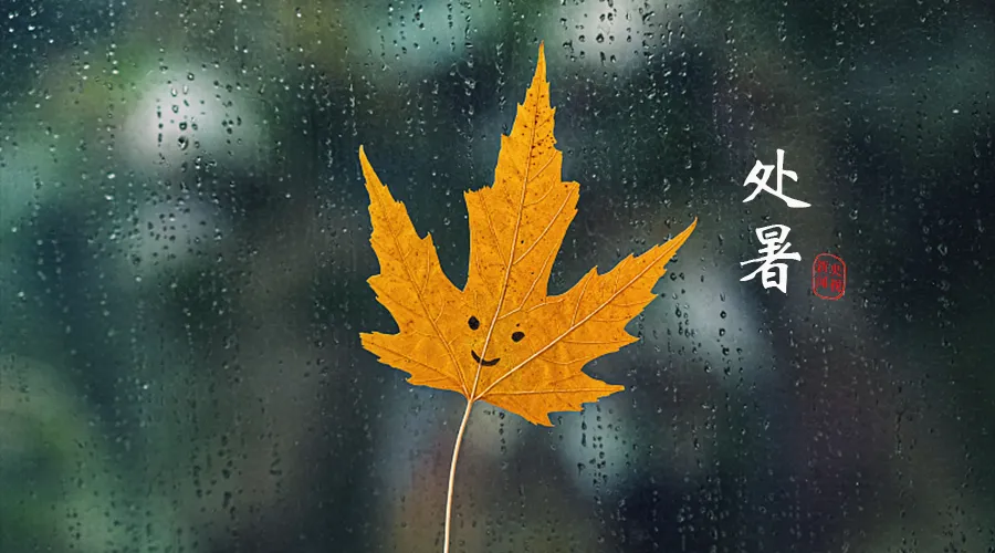 今日處暑，暑去涼來